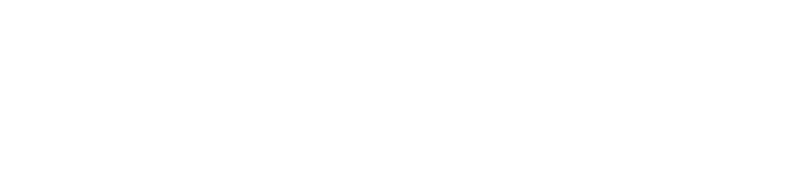 B&V White Logo